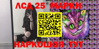 спайс Берёзовский