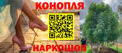ГАЛЛЮЦИНОГЕННЫЕ ГРИБЫ Бийск