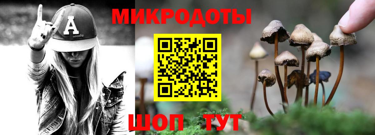 Кандалакша  где найти   Вход с VPN  Псилоцибиновые грибы Psilocybine cubensis 